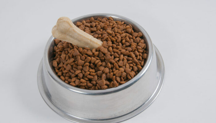 Top 3 Protein-Rich Dog Food Brands